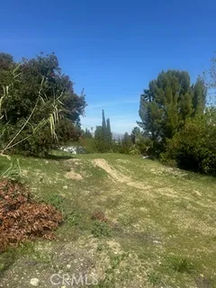 a view of a field with an trees