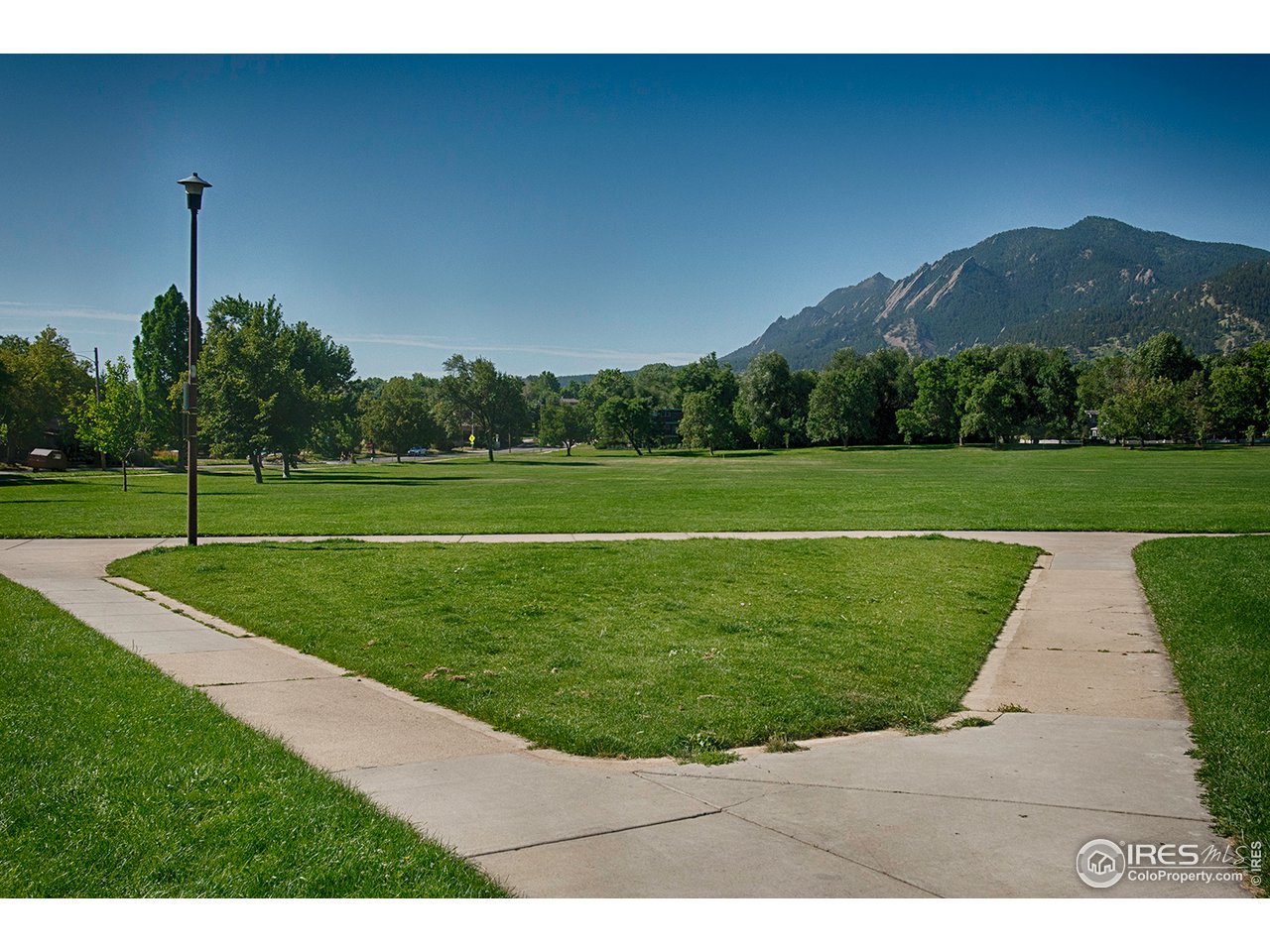 3182 7th Street Boulder, CO 80304 - Photo 34 of 38 a view of a grassy field with trees in the background