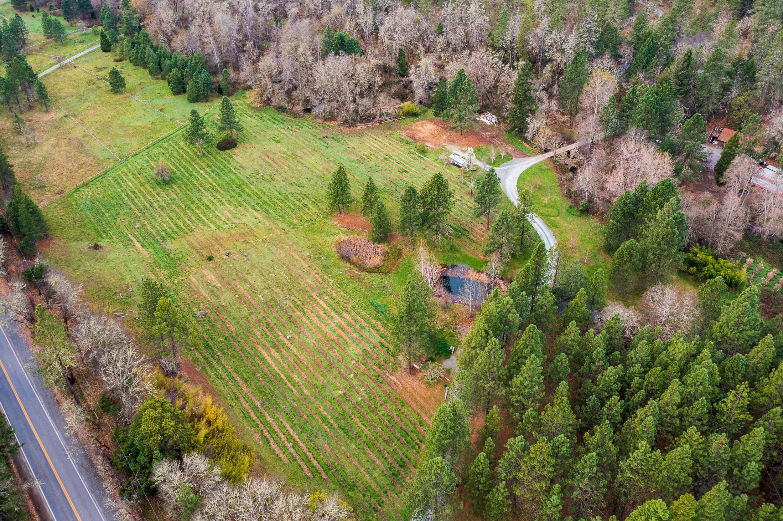 1450 Hugo Road Merlin, OR 97532 - Photo 4 of 47 Pasture Aerial 2