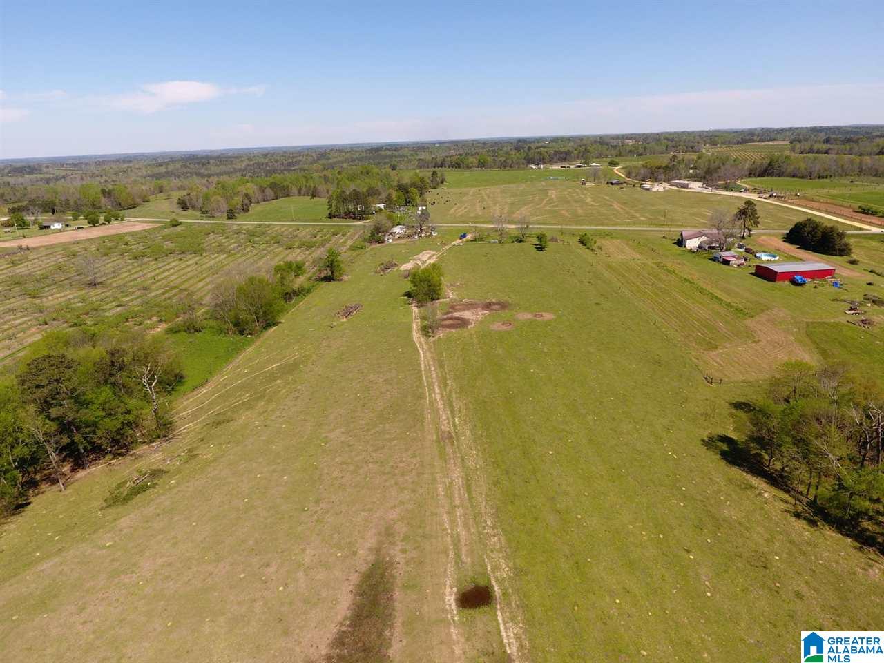 0 County Road 30, Unit 1 Clanton, AL 35045 - Photo 30 of 32