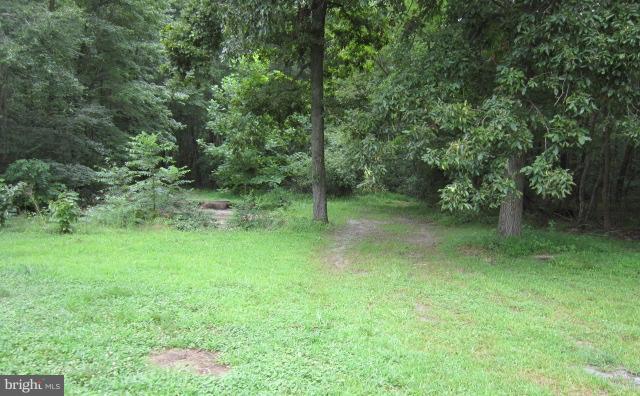 403 Shady Beach Road North East, MD 21901 - Photo 5 of 19 View