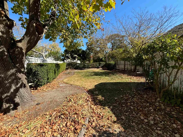 a view of a yard with plants
