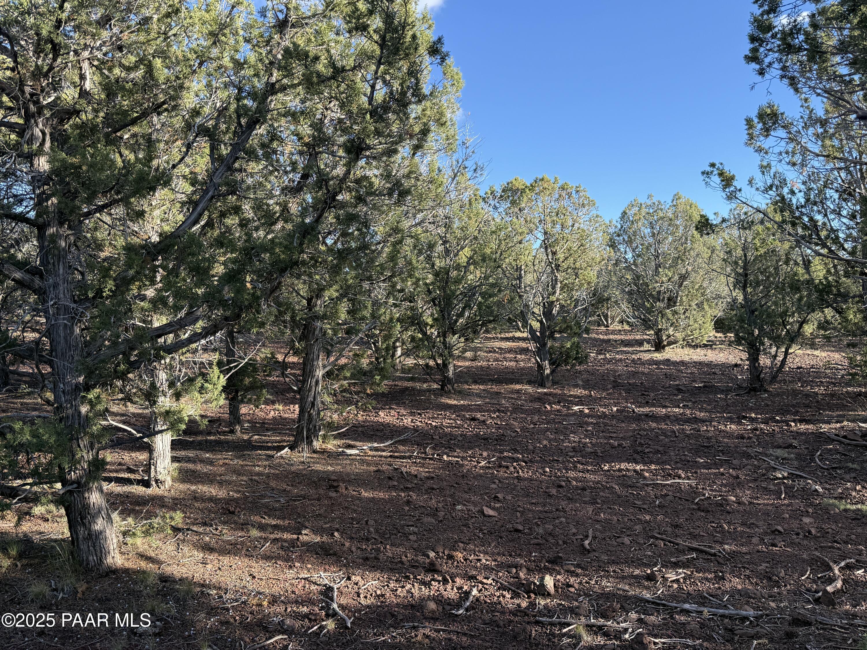 17375 Beale Wagon Road Williams, AZ 86046 - Photo 6 of 30 IMG_9850