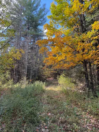 $499,000 | 0 North Road, Guildhall, VT 05905