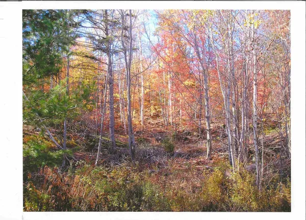 $499,000 | 0 North Road, Guildhall, VT 05905