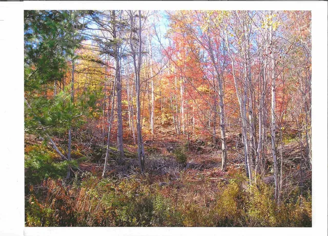 $499,000 | 0 North Road, Guildhall, VT 05905