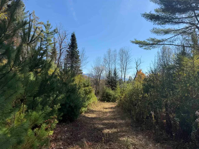 $499,000 | 0 North Road, Guildhall, VT 05905