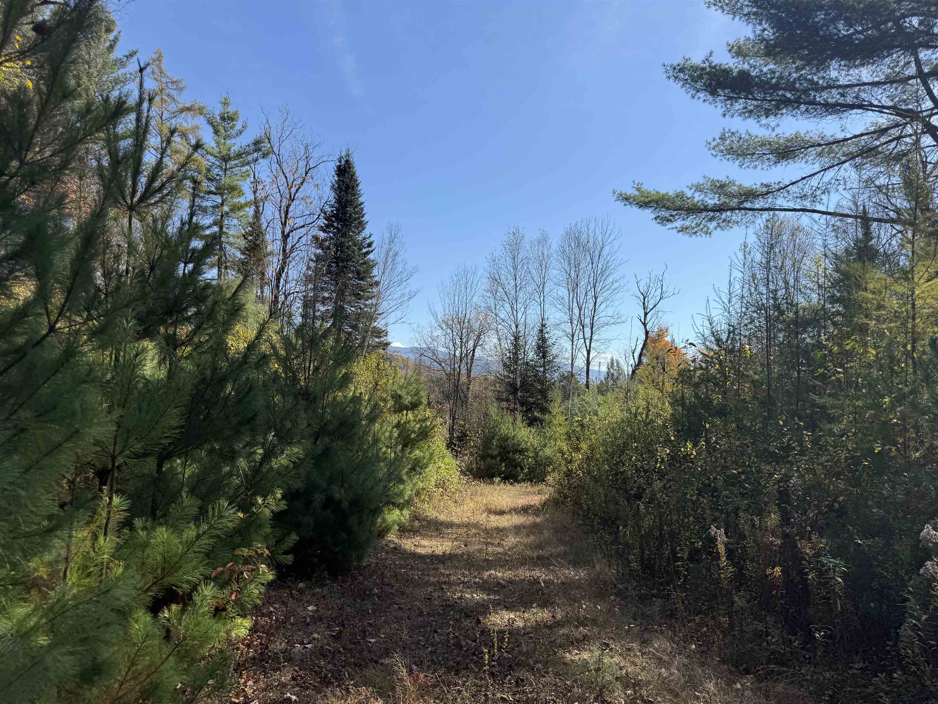 0 North Road Guildhall, VT 05905 - Photo 5 of 26