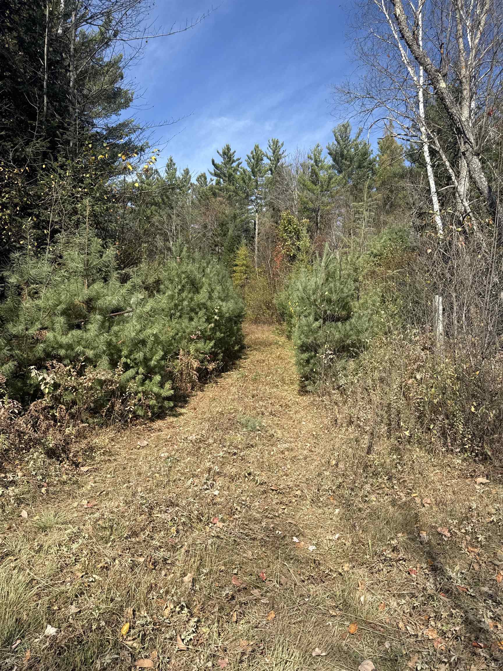 0 North Road Guildhall, VT 05905 - Photo 6 of 26