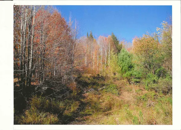 $499,000 | 0 North Road, Guildhall, VT 05905