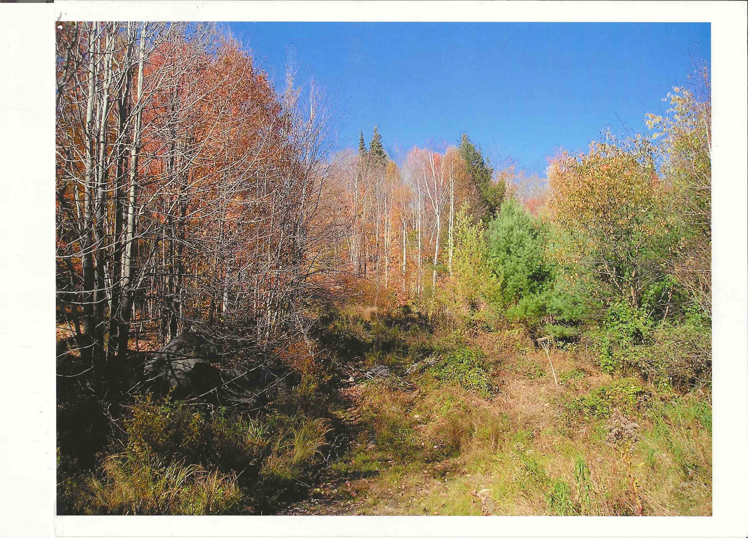 0 North Road Guildhall, VT 05905 - Photo 7 of 26