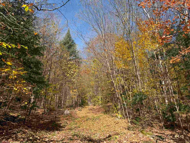 $499,000 | 0 North Road, Guildhall, VT 05905