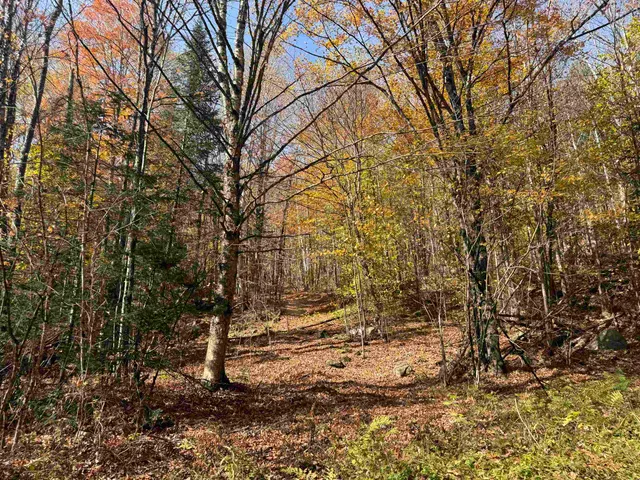 $499,000 | 0 North Road, Guildhall, VT 05905