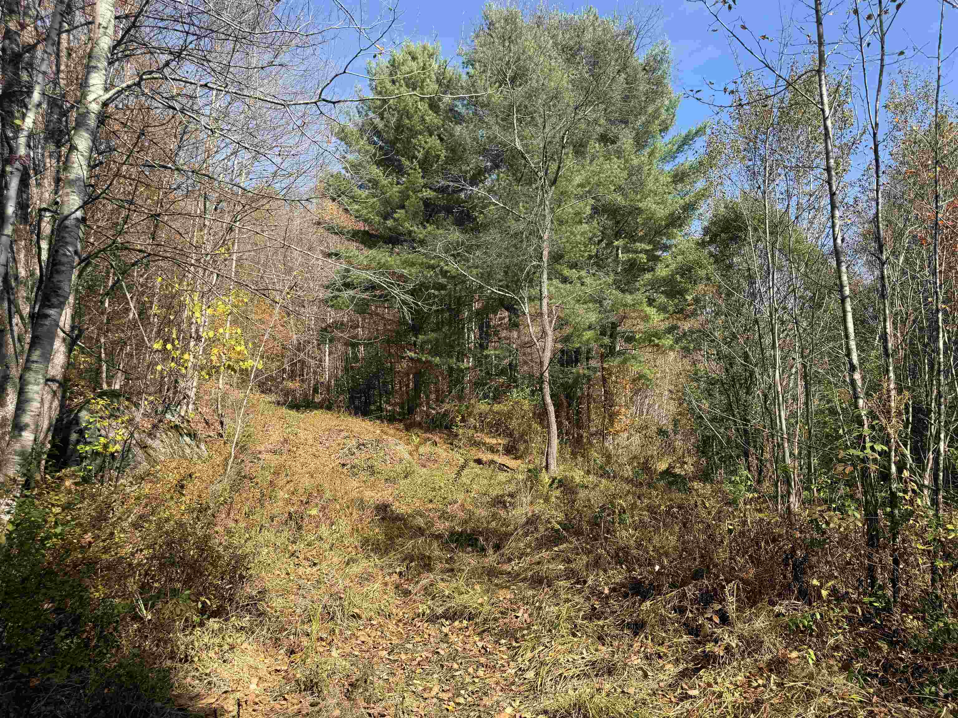 0 North Road Guildhall, VT 05905 - Photo 10 of 26