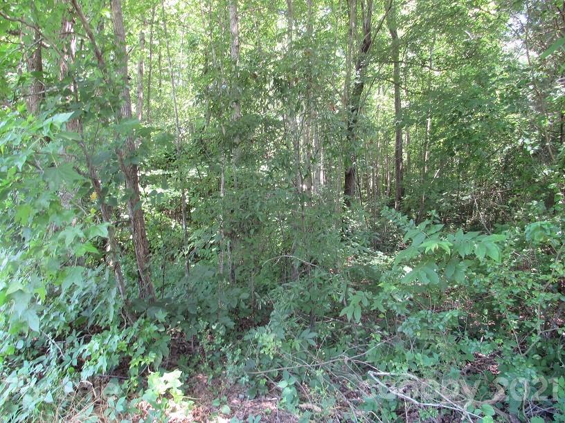 0 Pine Ridge Road, Unit 42C Lexington, NC 27295 - Photo 6 of 7 Gallery Image 6