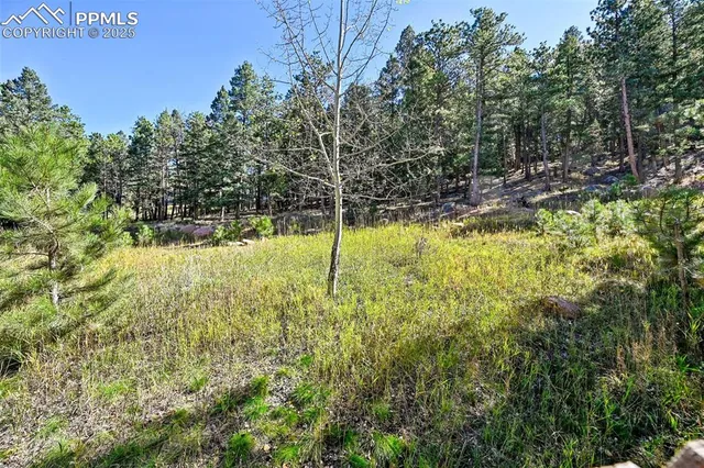 $475,000 | 145 Elk Grove Lane, Woodland Park, CO 80863