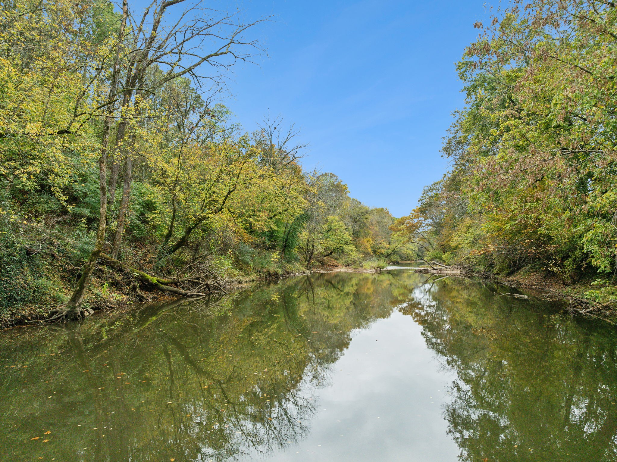 1418 Moran Road Franklin, TN 37069 - Photo 15 of 19 a view of a lake with a yard