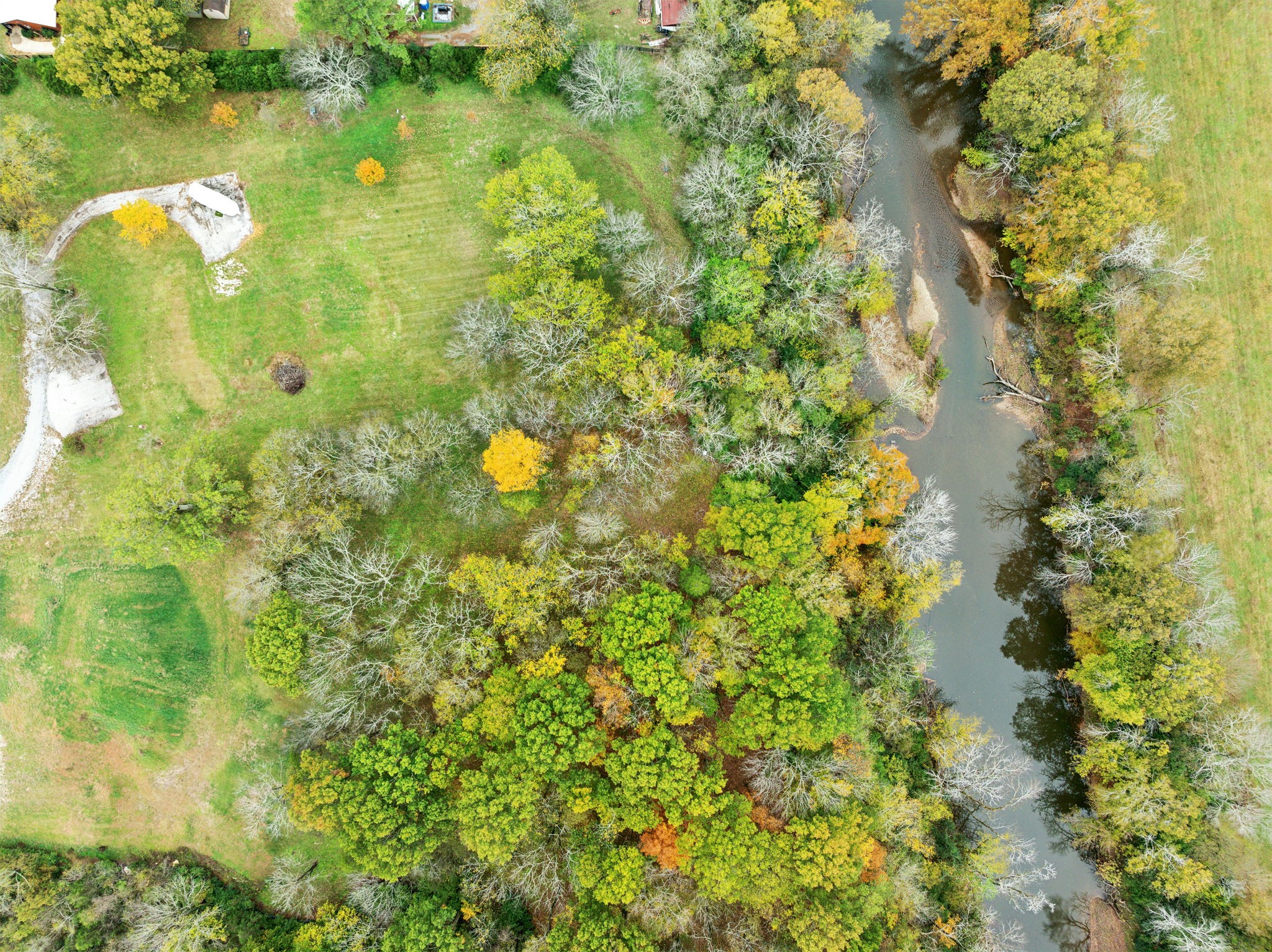 1418 Moran Road Franklin, TN 37069 - Photo 7 of 19 a close up of a tree in a yard