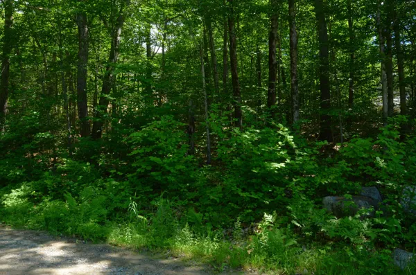 $99,000 | Scott Drive, Alton Bay, NH 03810