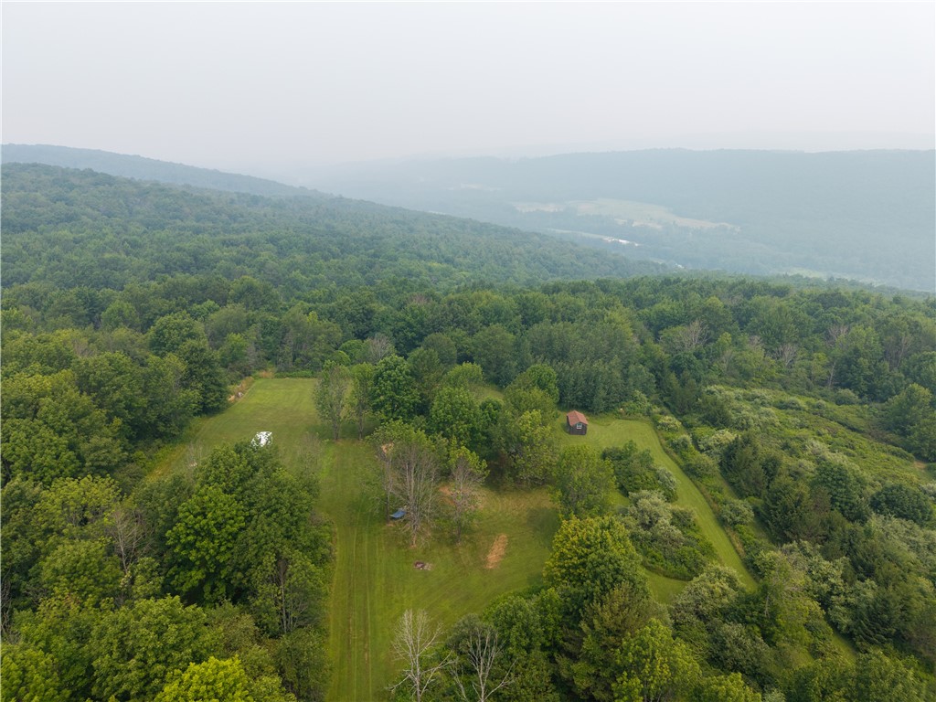 2571 Delude Road Dalton, NY 14836 - Photo 35 of 48