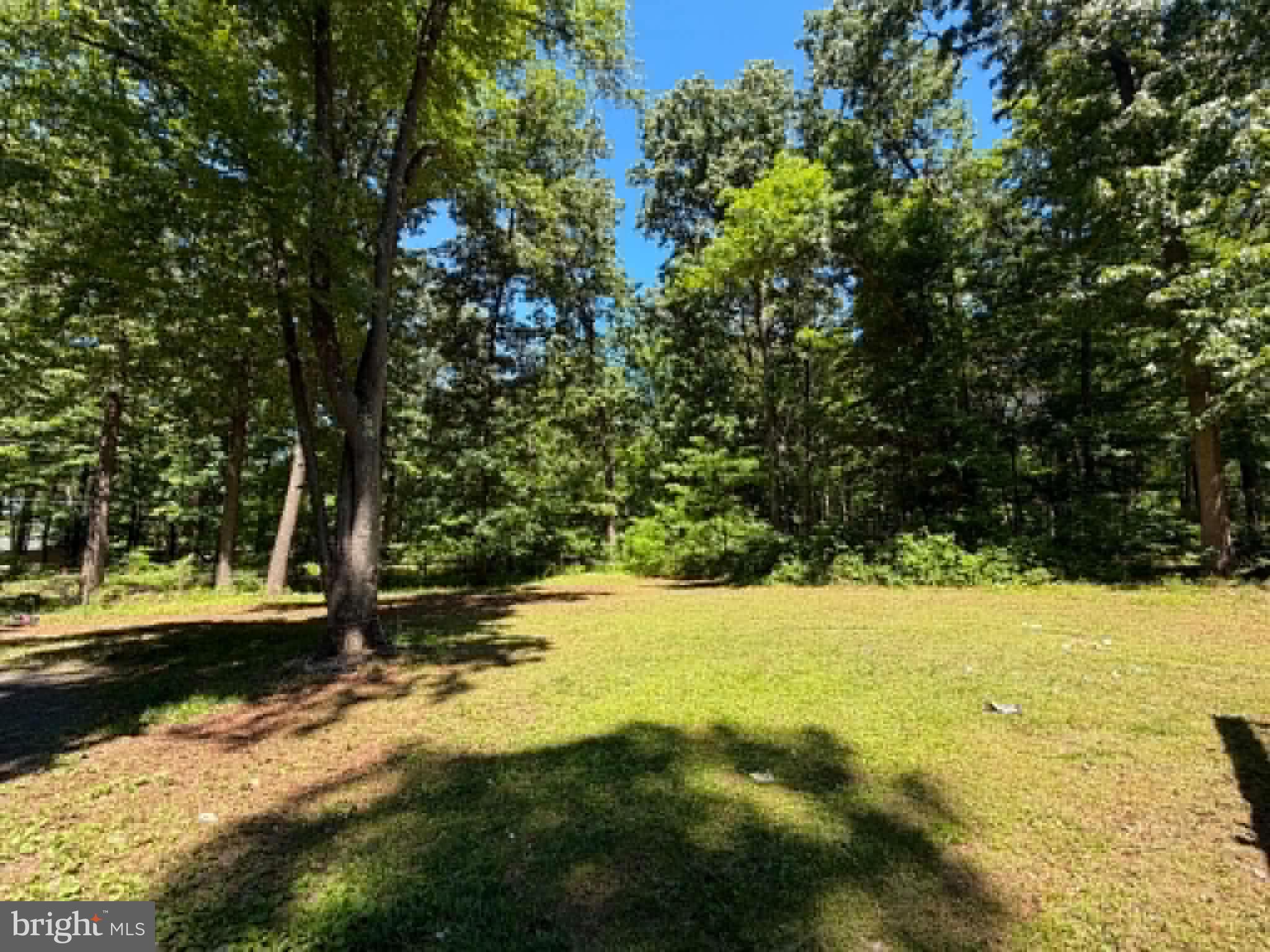 51 Cabin Road Augusta, WV 26704 - Photo 1 of 19