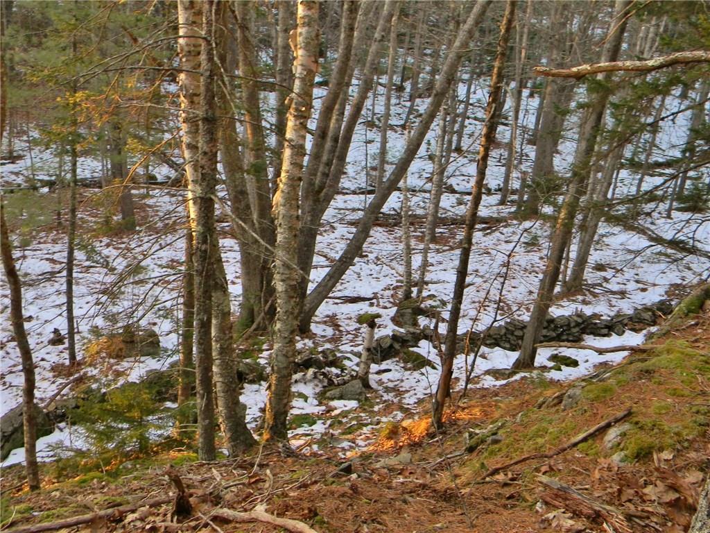 0 Junction Road Westport Island, ME 04578 - Photo 4 of 18 Photo