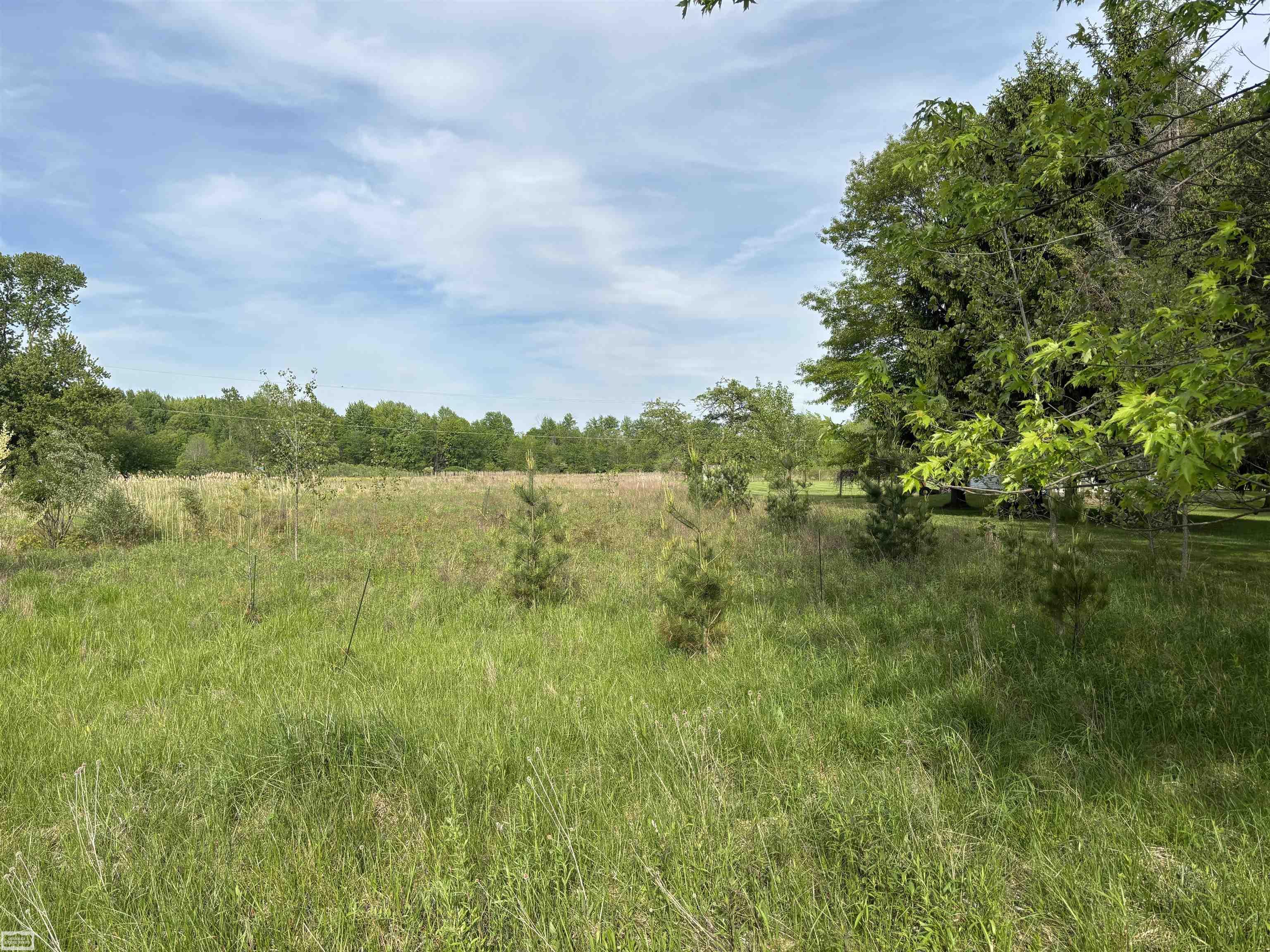Richman Road Smiths Creek, MI 48074 - Photo 1 of 7