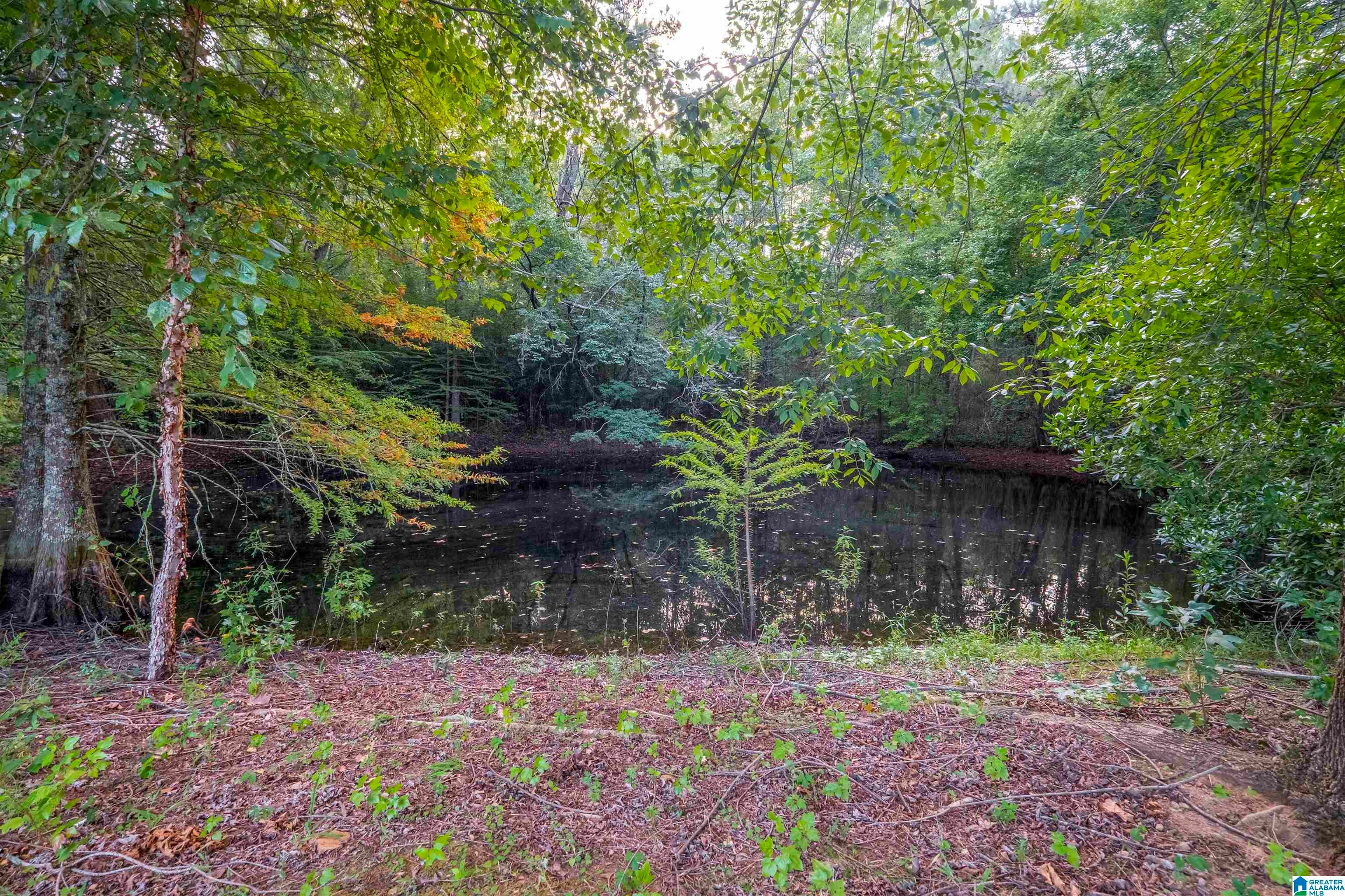 571 Pinecroft Road Anniston, AL 36207 - Photo 84 of 85 Gallery Image 84