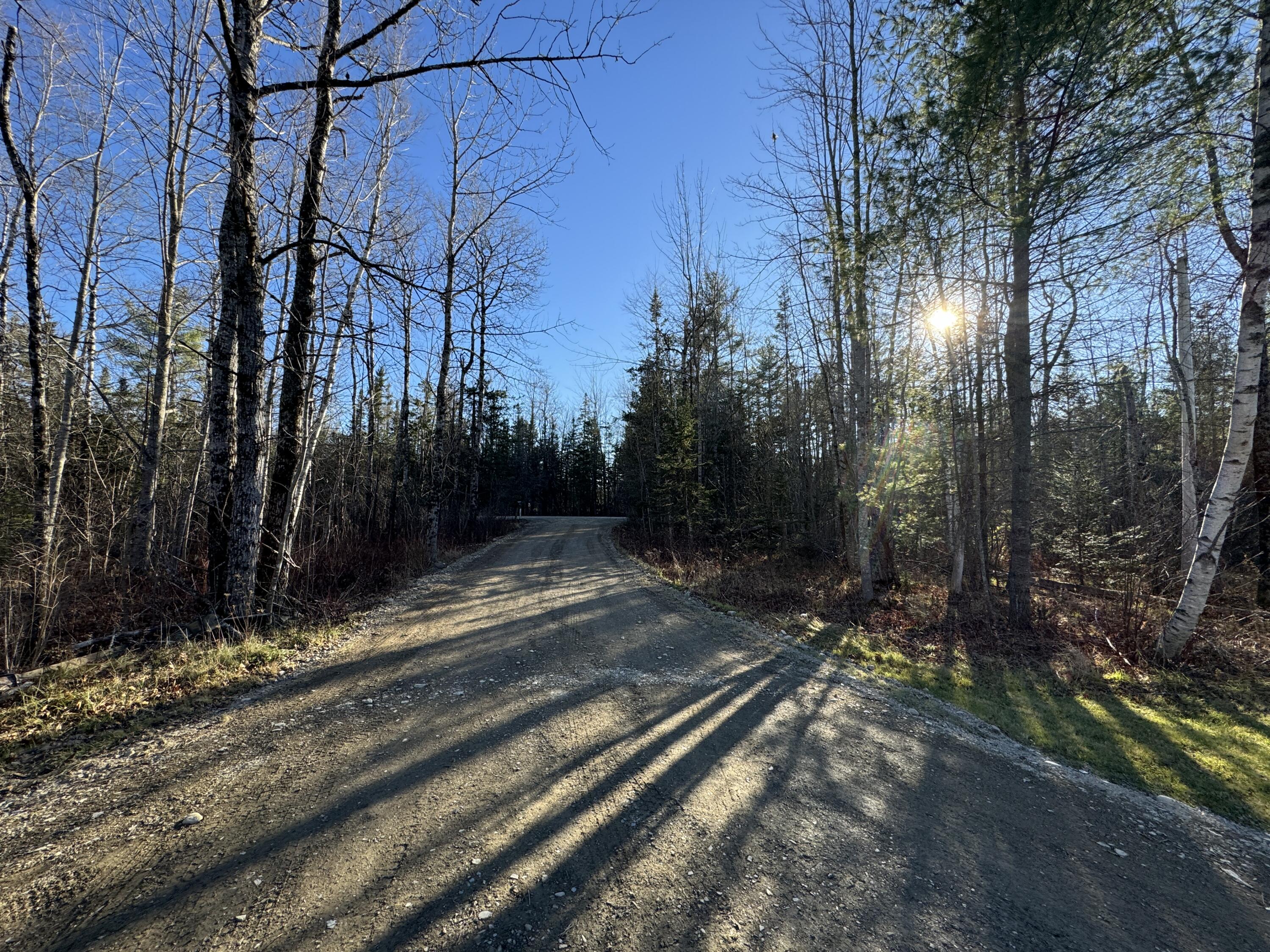 825 Mt Pleasant Road Stetson, ME 04488 - Photo 56 of 56 Driveway