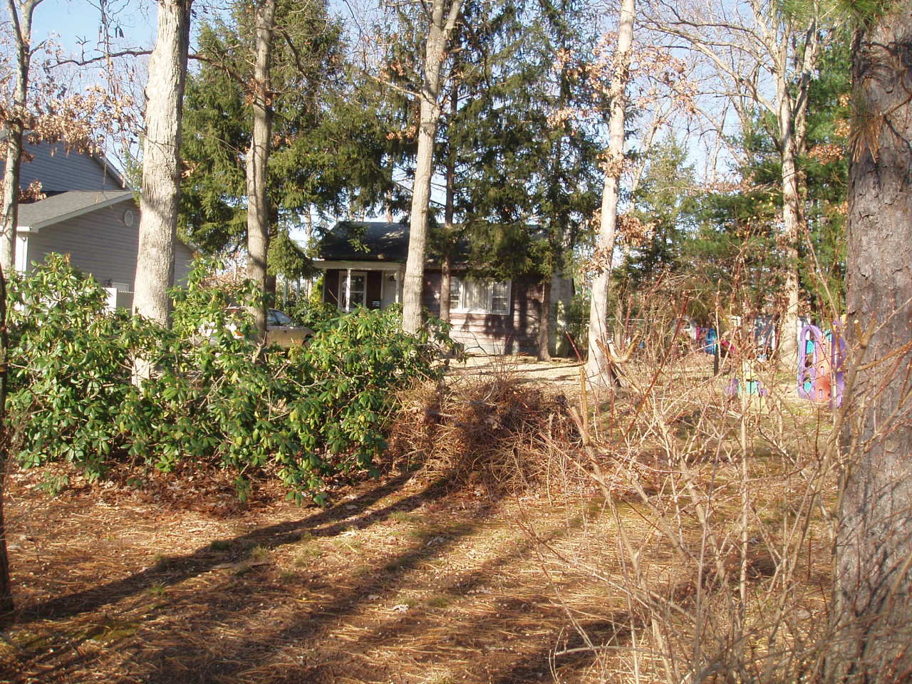 Additional Photo