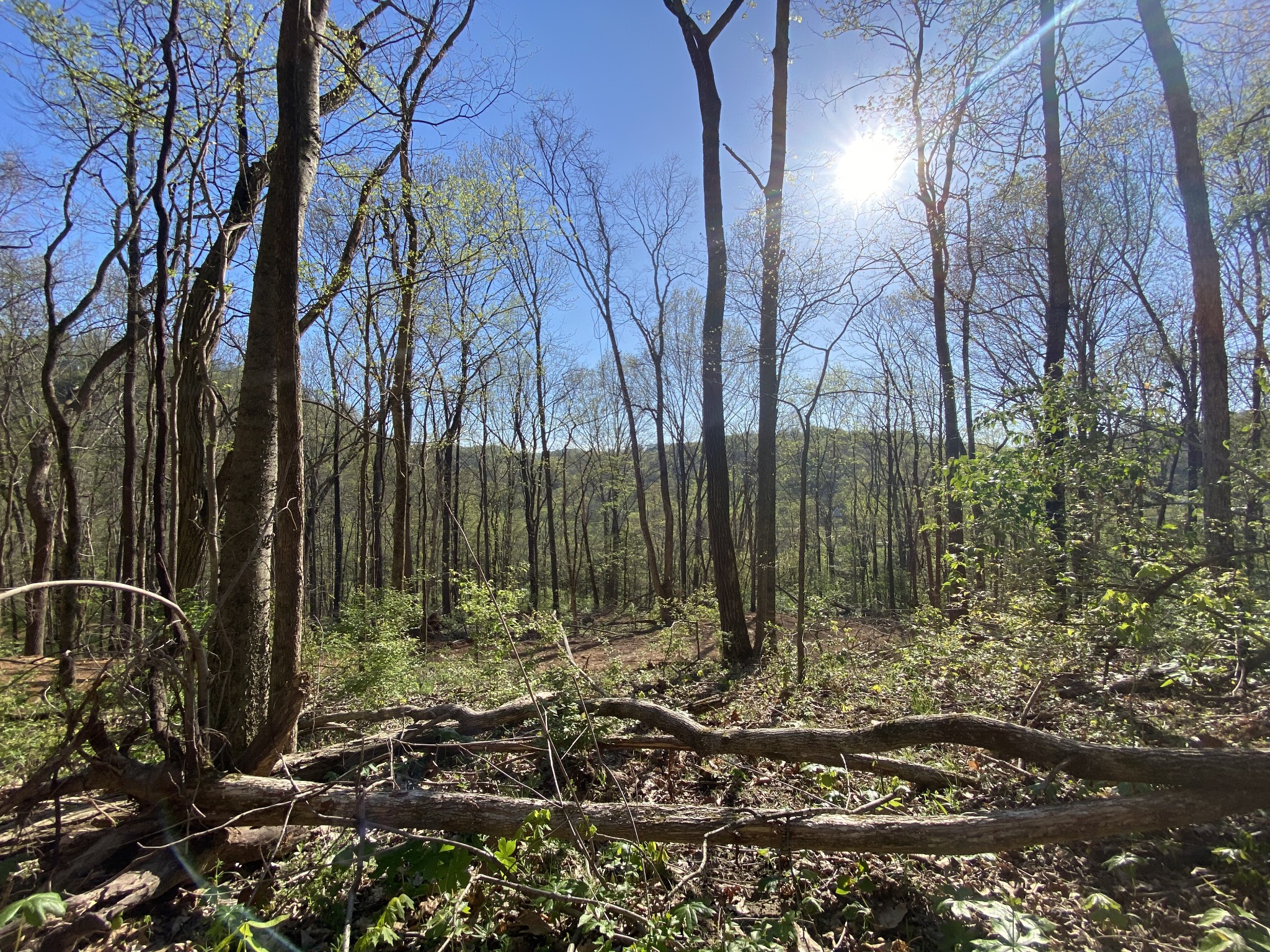 7449 River Rd Pike Nashville, TN 37209 - Photo 24 of 30 Gallery Image 24