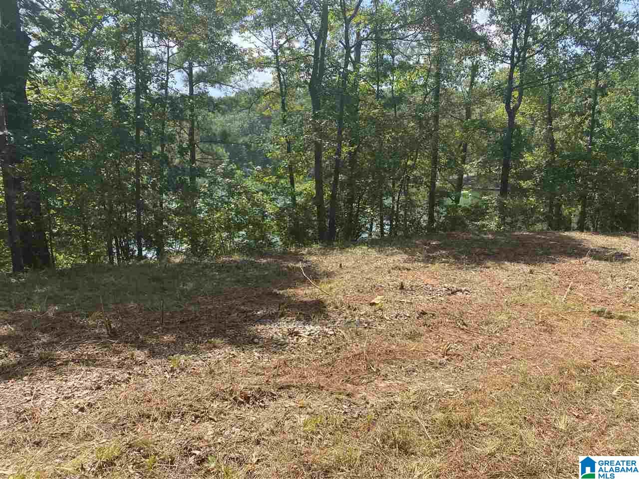 Pam Street, Unit 1 Wedowee, AL 36278 - Photo 7 of 9