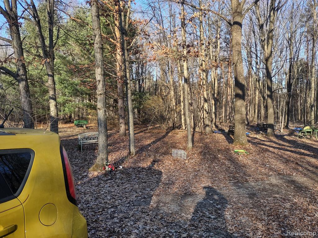 15056 South Duffield Road Byron, MI 48418 - Photo 23 of 23