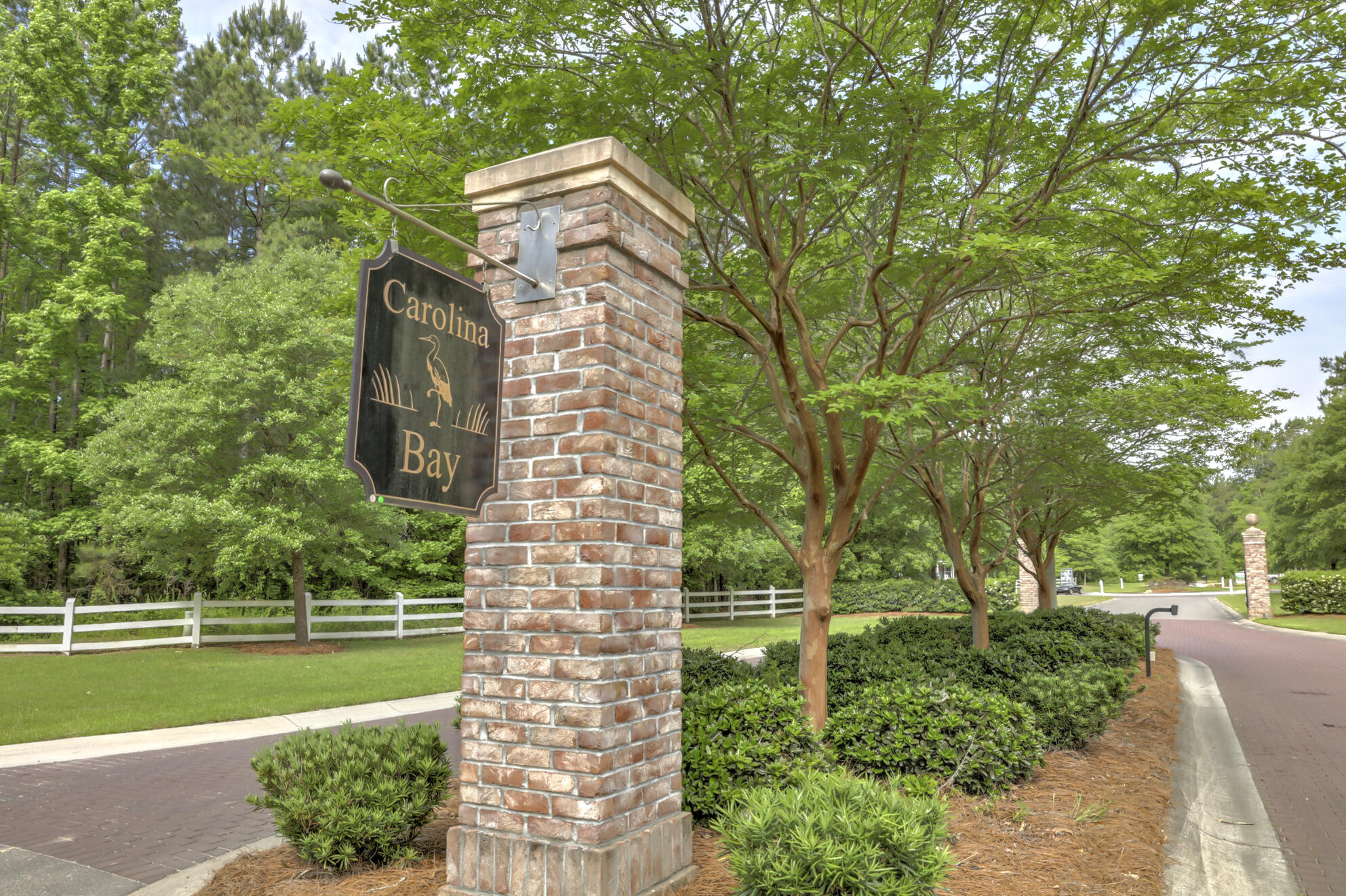 1080 Deep Gap Road Ridgeville, SC 29472 - Photo 3 of 4 Carolina Bay Entrance I