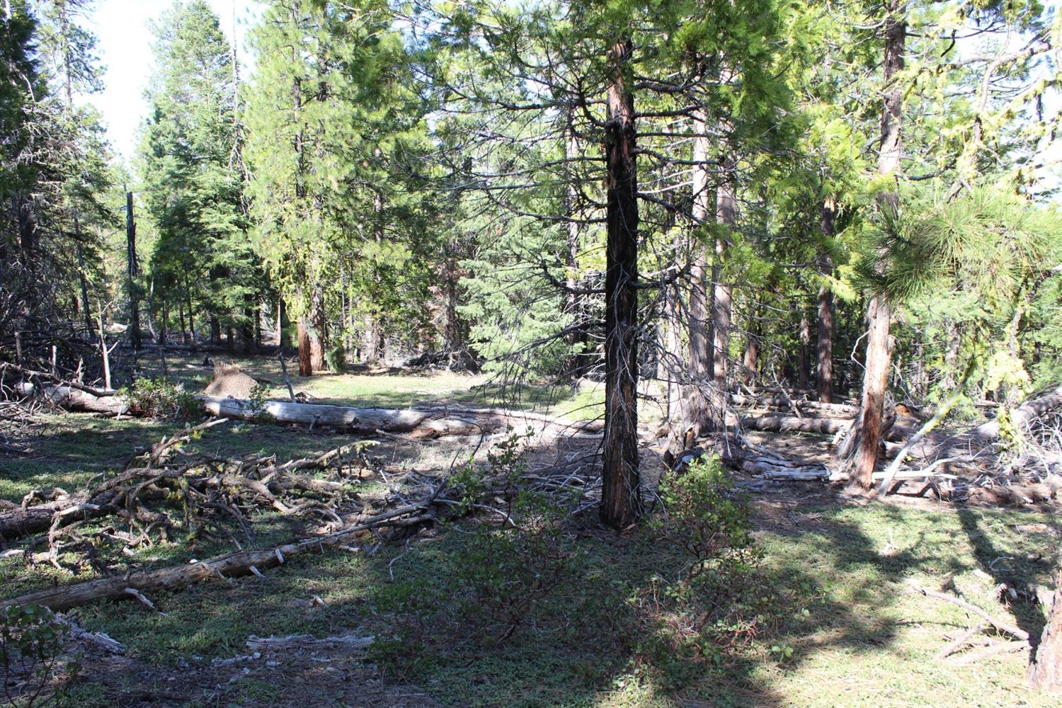 Blackbird Drive Beatty, OR 97621 - Photo 2 of 3 Additional Photo