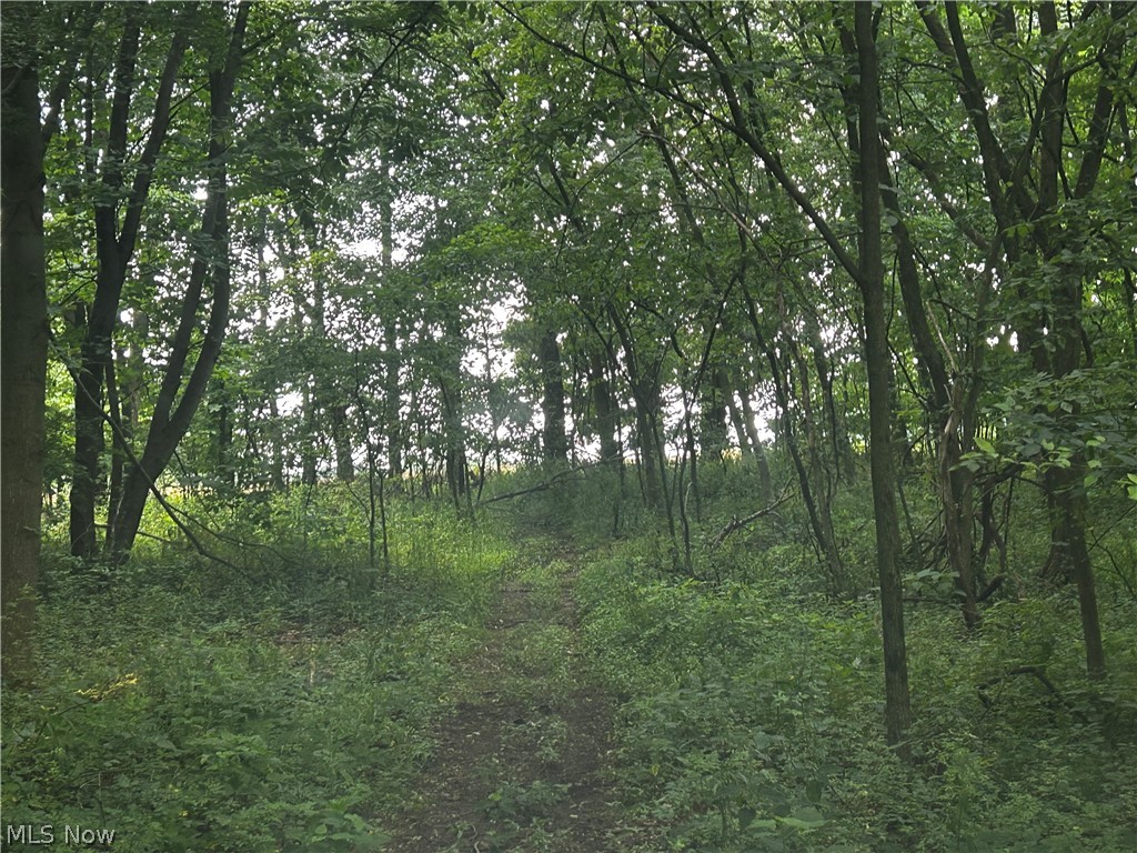 5742 Grove Road Clinton, OH 44216 - Photo 24 of 37 Hunting Trail