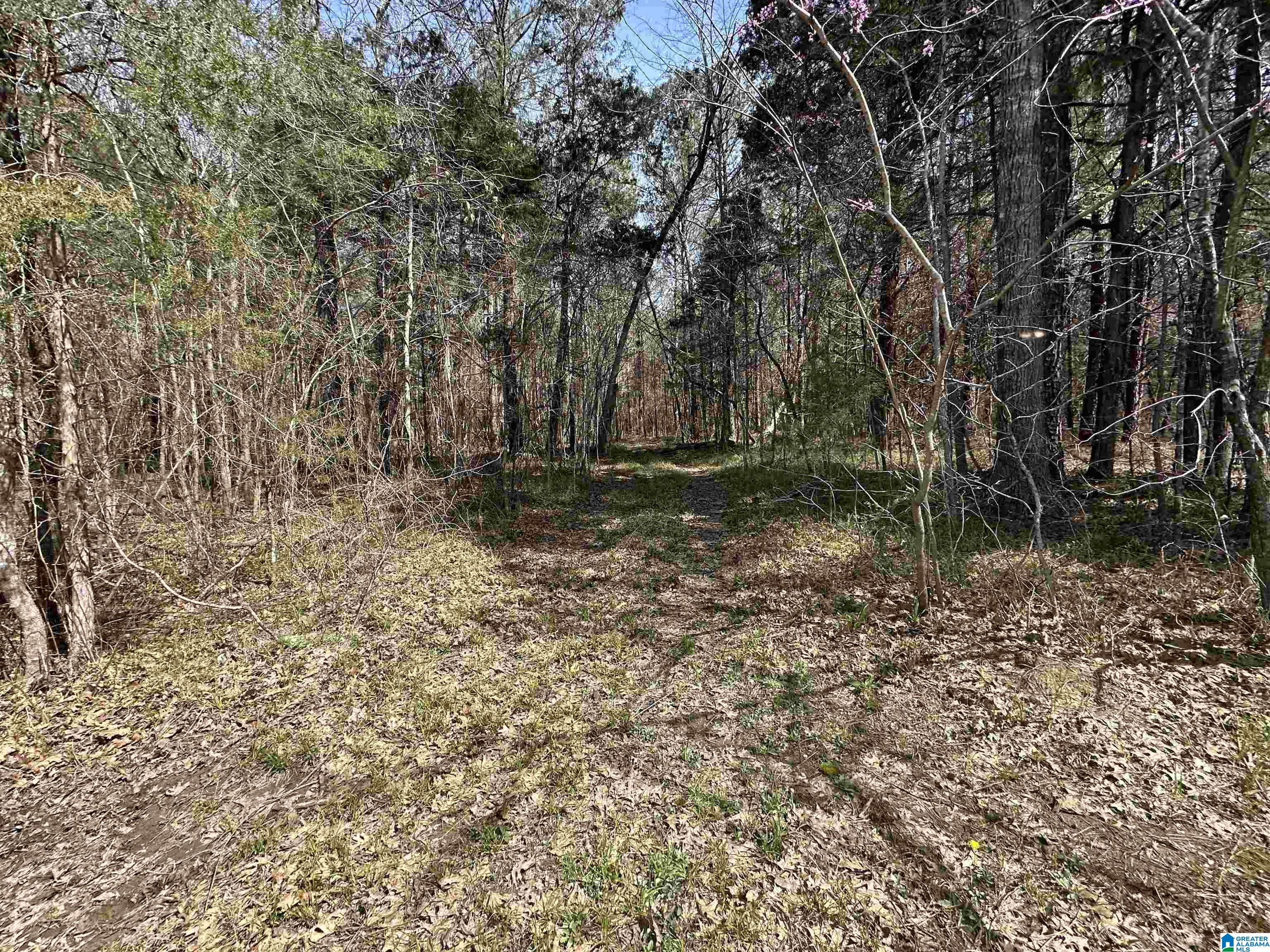 2560 Slasham Road Ashville, AL 35953 - Photo 68 of 77