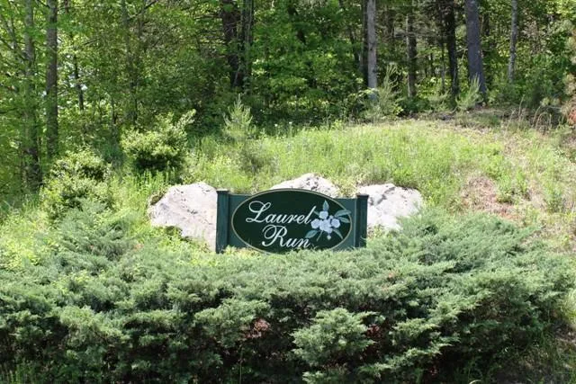 a view of a back yard