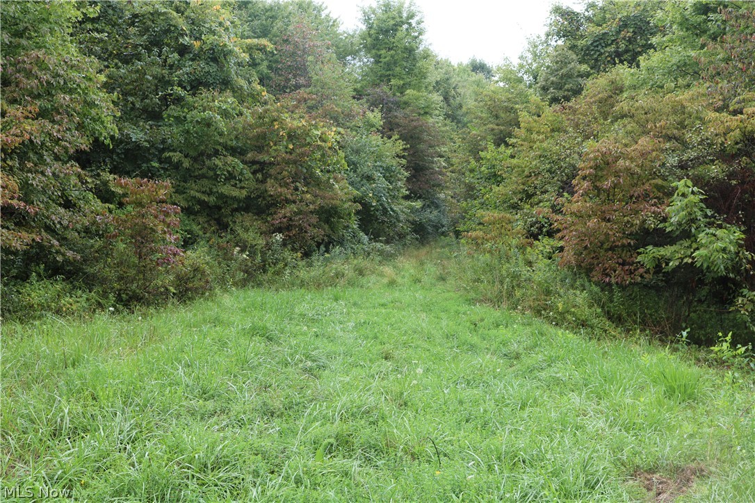 Sawmill Road Newcomerstown, OH 43832 - Photo 2 of 16 Gallery Image 2
