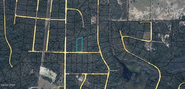 $12,500 | 0 Capulin Street, Alford, FL 32420