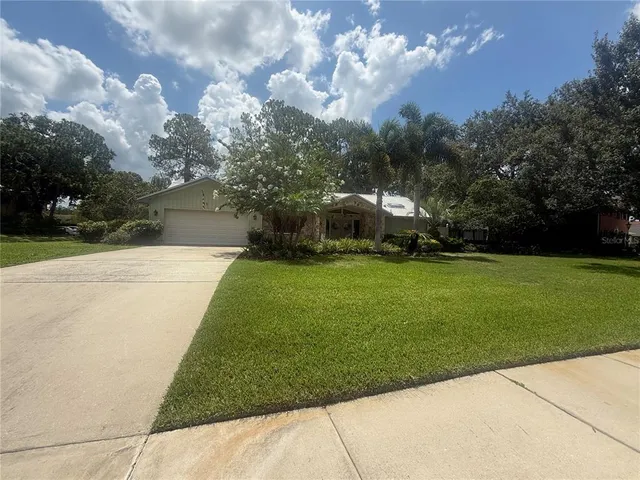 a view of a backyard