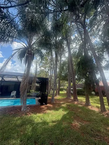 a view of a yard with a tree