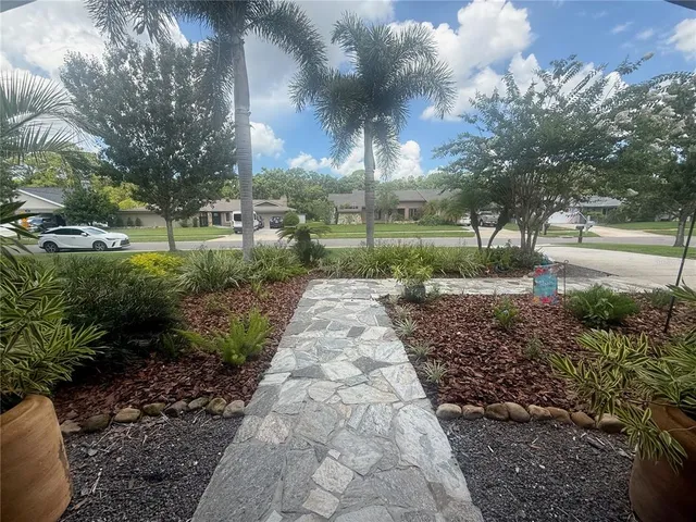 a view of a park with large trees
