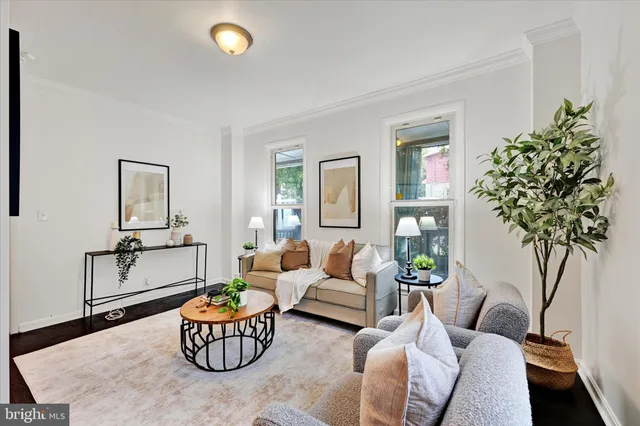 a living room with furniture potted plant and a large window