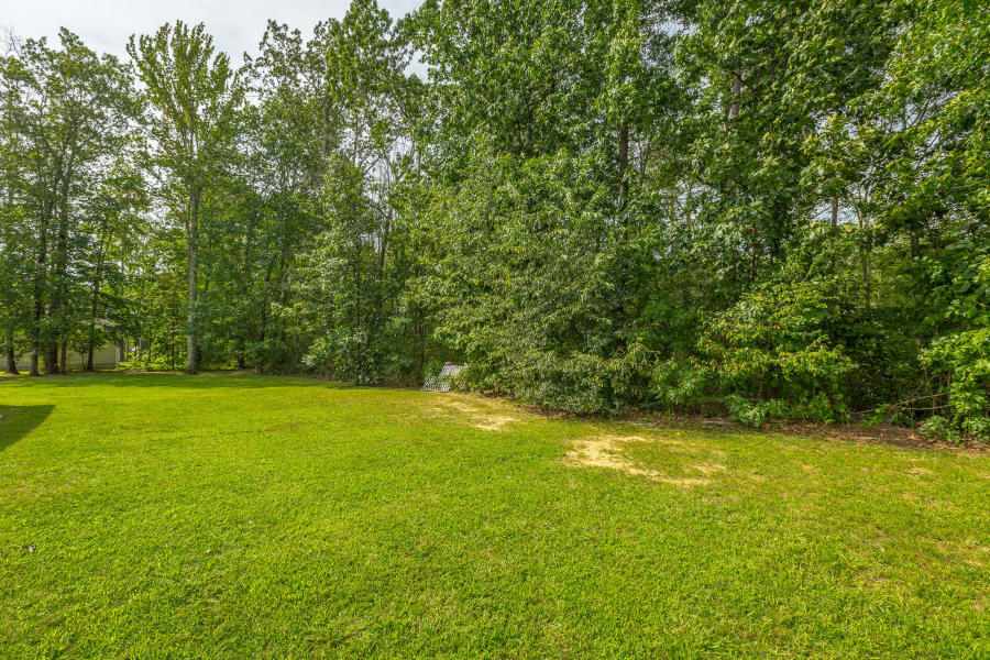 473 Hargis Road Signal Mountain, TN 37377 - Photo 33 of 34 photo 33