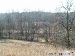 County Line Road Roodhouse, IL 62082 - Photo 3 of 8