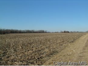 County Line Road Roodhouse, IL 62082 - Photo 4 of 8