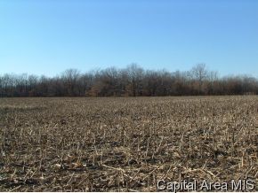 County Line Road Roodhouse, IL 62082 - Photo 5 of 8