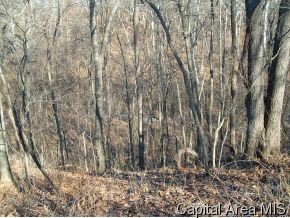 County Line Road Roodhouse, IL 62082 - Photo 6 of 8