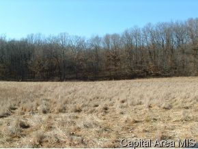 County Line Road Roodhouse, IL 62082 - Photo 7 of 8